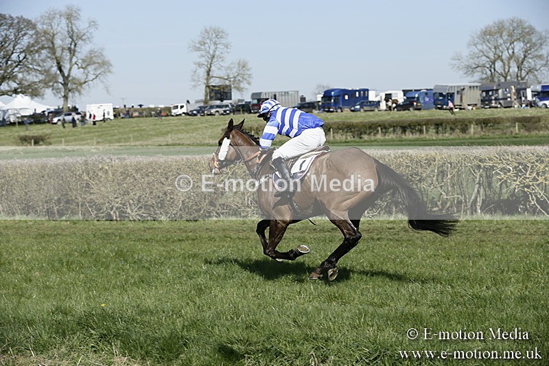 PtP 250317 146 - V.W.H. Hunt Point-to-Point Siddington 25/03/17
