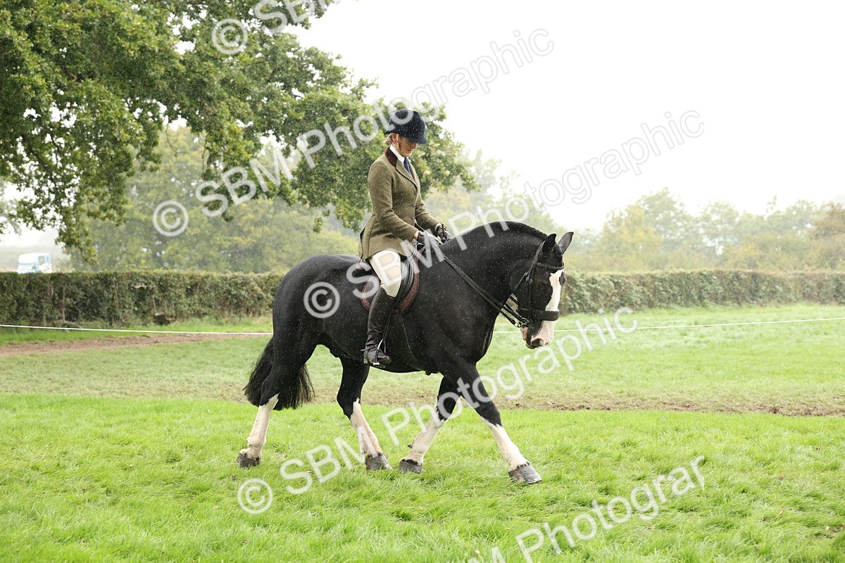 SBM_69784 - S69 - Show Cob Ridden