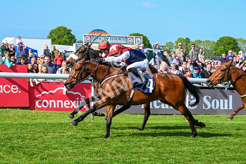 040526-Race 5-Copper Knight-2629 - Race 5