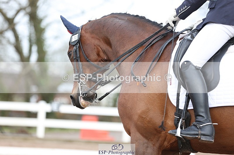 240121A-122440-01466 - Cls 15 Music Adv Medium