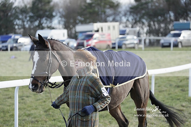 PtP 260223 877 - South & West Wilts Point-to-Point Larkhill 26/02/23