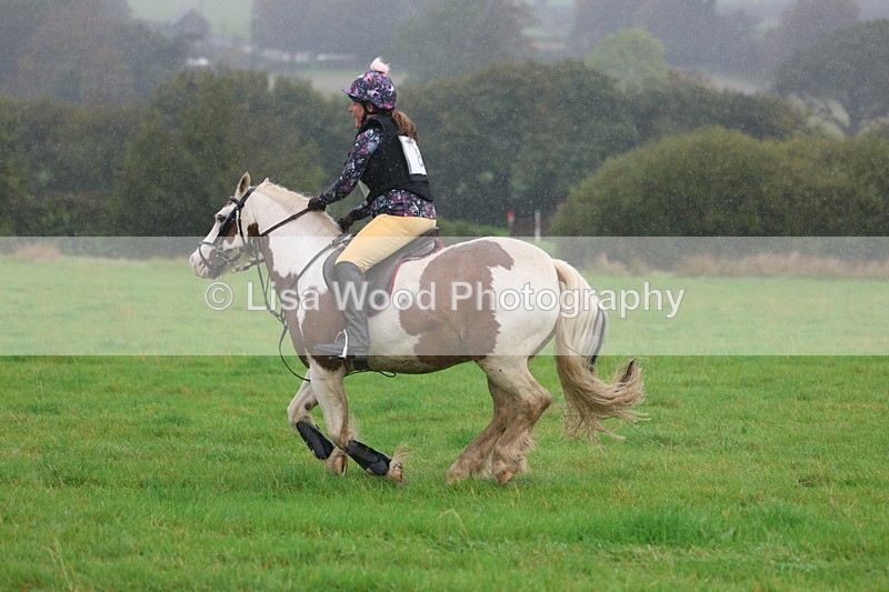 3E7A0858 - Class 1: 65cm: Rails