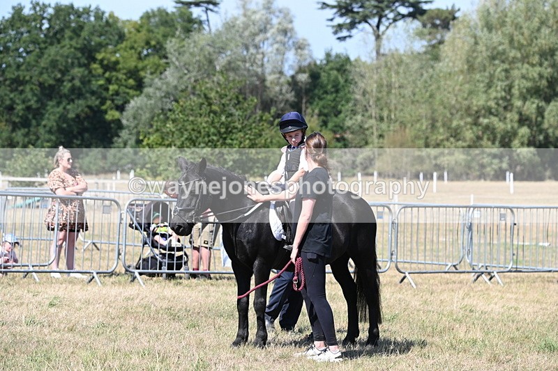 WJ6_8446 - Class 37a Best Loan Pony Ridden