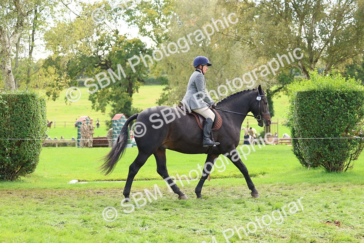 SBM_45192 - S27 - Young Veteran Ridden