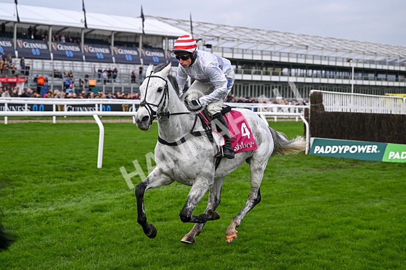 151124-Race 3-Unexpected Party-7728 - Race 3