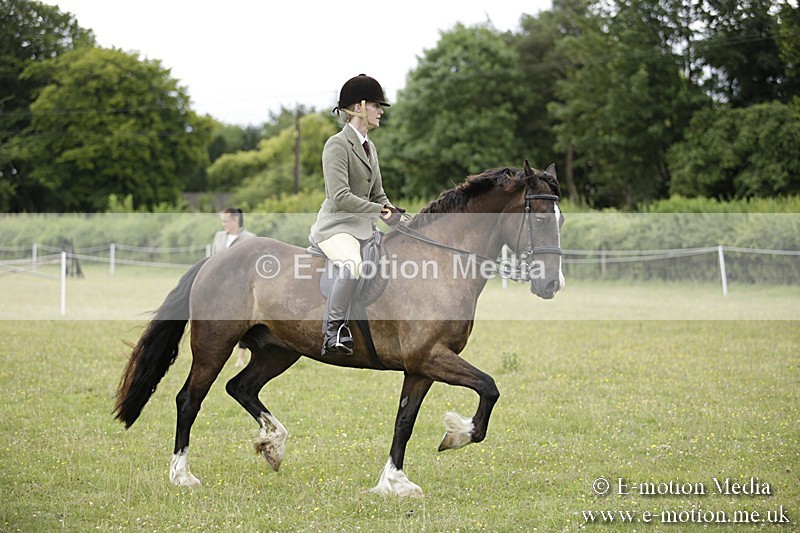 BVR160717-1297 - Ring 1 BVRC Show 16/07/17