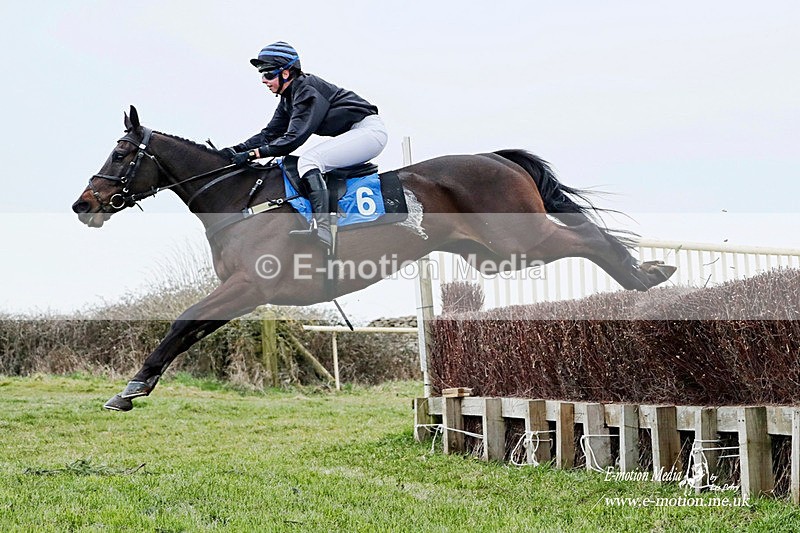 PtP 040323 403HH12x8 - Equestrian