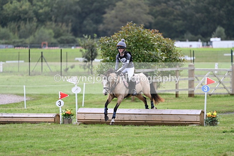 WJ7_8892 - 60cm Time 12:31 to 12:50