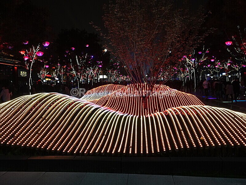 CHINA__0822 - China 2019