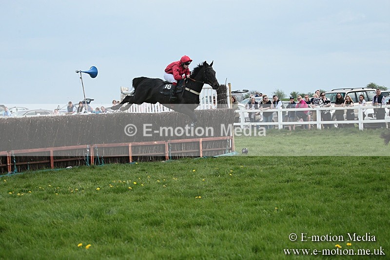 PtP 210418 207 - South & West Wilts Point-to-Point Larkhill 21/04/18