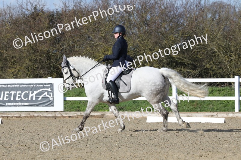 20260314-5098 - CT6 - Elementary 1