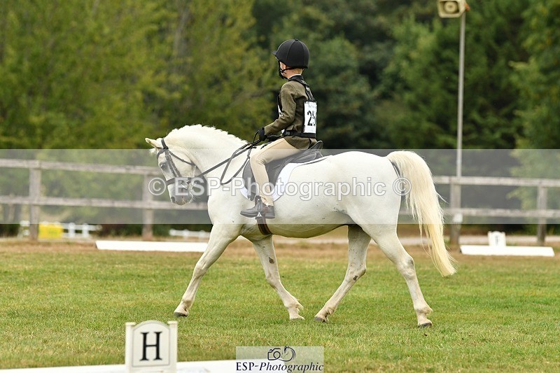 250820A-112725-05078 - 11am to 12