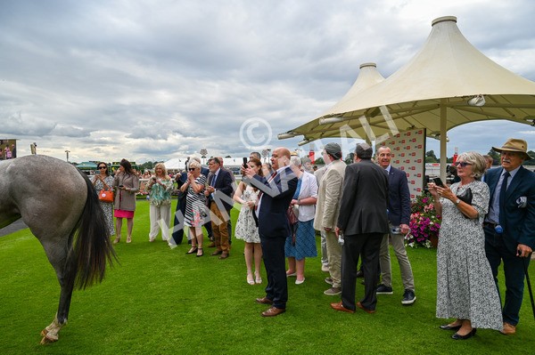 270724-Race 4-Greydreambeliever-9640 - Race 4 4.00pm Sky Bet Club EBF Fillies' Novice Stakes