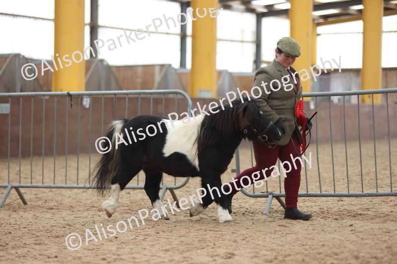 20251109-0439 - Championship