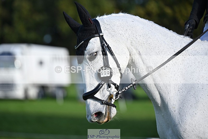 251024A-103741-08400 - G-558-Chloe.Chamulewicz