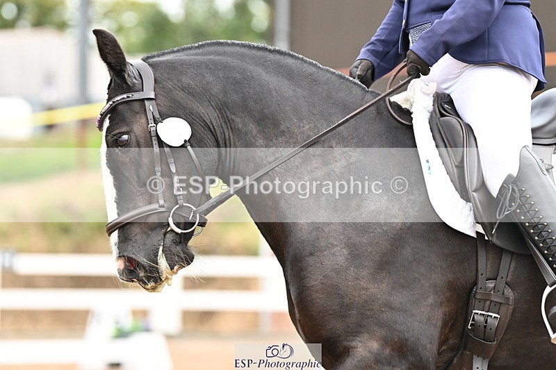 240817A-110827-07293 - 101-Chloe.Walton-La.Comtesse.Noire