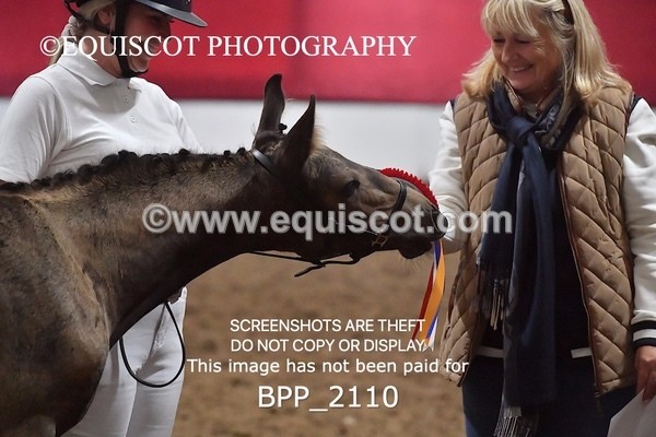 BPP_2110 - AFTERNOON 12.30 - 3.30PM