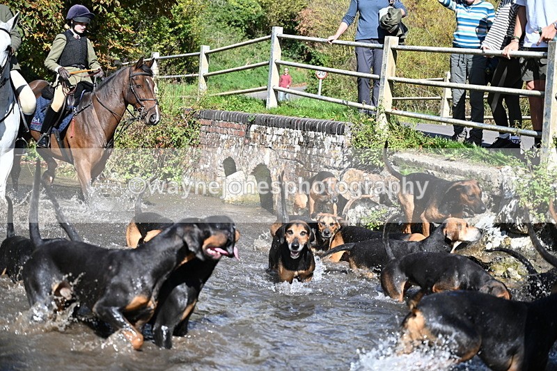 WJ7_5986 - Hounds Water Crossing
