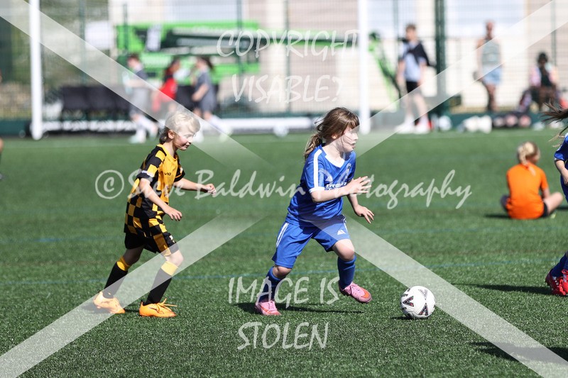 1DX33946 - Sat 13th U7 & U8 Girls