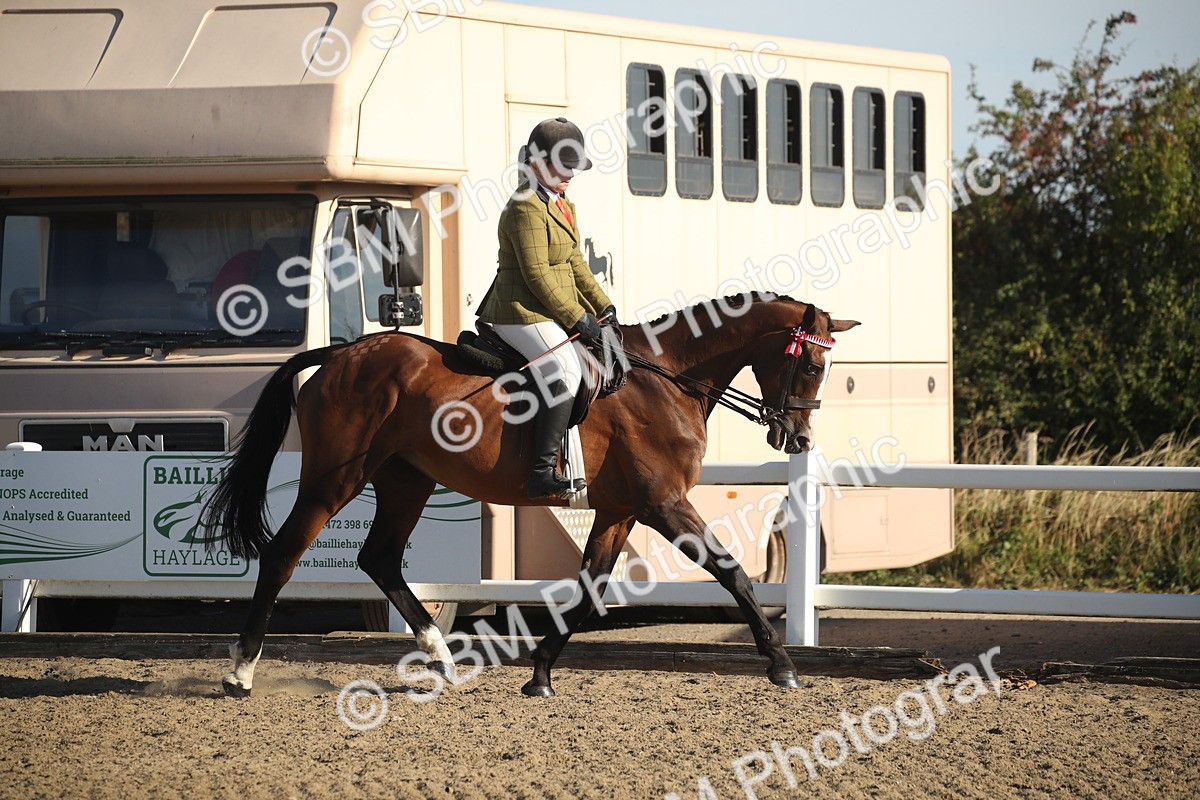 SBM_11329 - Class 501 -Riding Club Pony