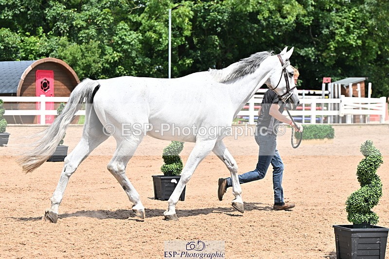 240718A-105313-01707 - Trot Up 1pm to 2pm