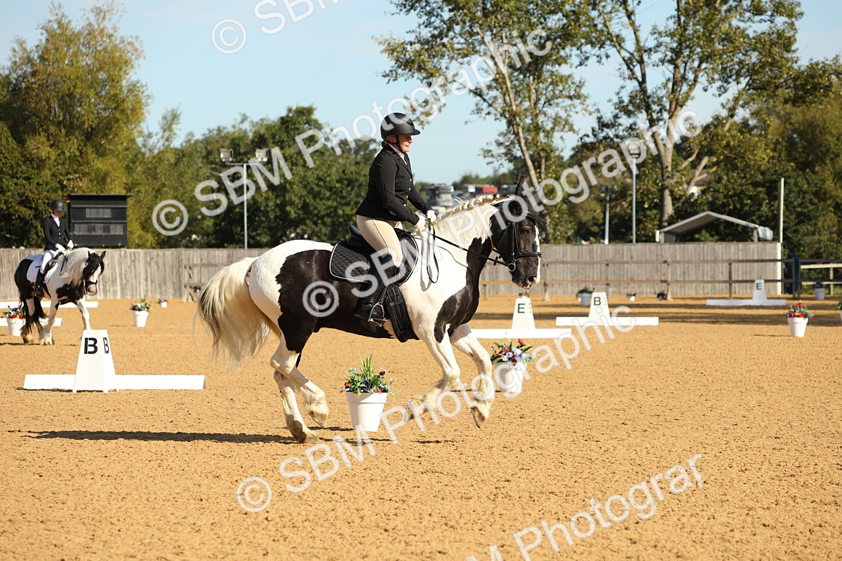 SBM_16587 - D10 - Small Tour Championship - Prelim 2
