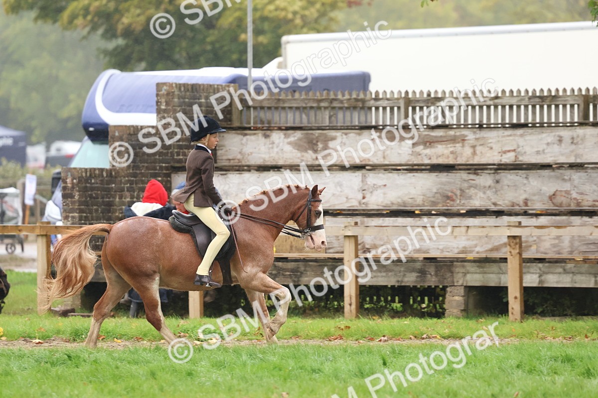 SBM_73073 - S63 Show Pony & Show Hunter Pony Ridden