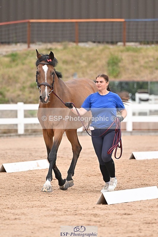 250716-160902-02453 - Trot Up 3.30 to 4.30