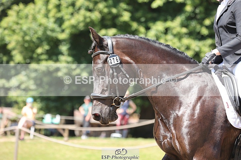 240719-115143-01515 - 276-Caitlyn_Faull-Rhosygarreg_Diamond