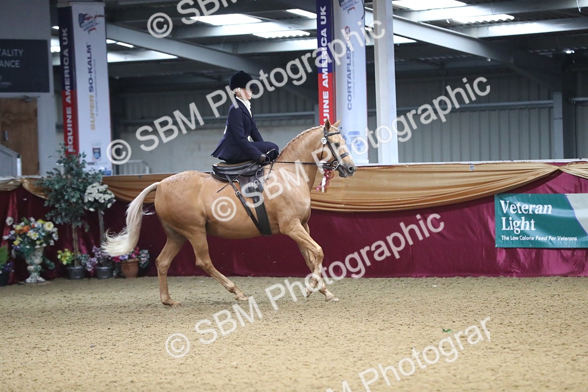 SBM_09340 - Class 101 Equitation (best rider), Junior