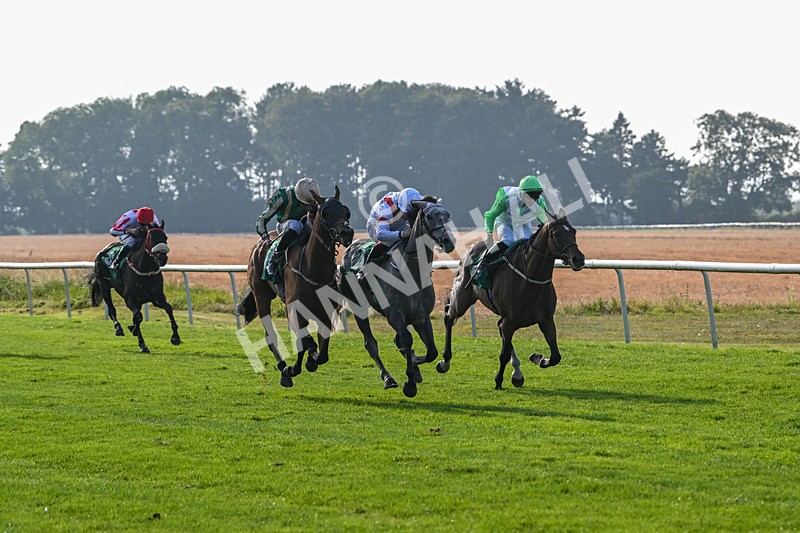 300824-Race 7-The Crafty Mole-6470 - Race 7