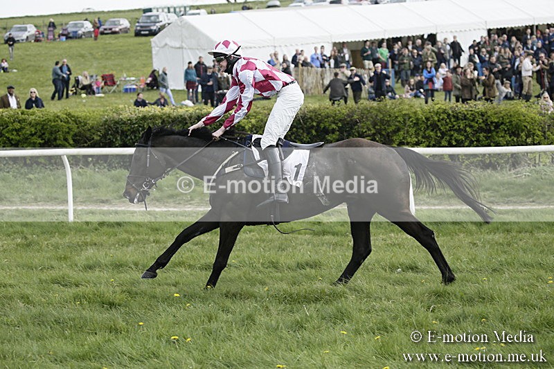 PtP 170417 375 - Old Berks Point-to-Point Lockinge 17/04/17
