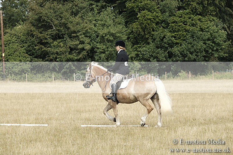 _PJP5716 - Dressage Classes BVRC Show 2018