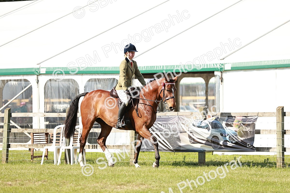 SBM_19218 - Class 115-116 - LIHS BSHA Rising Star Working Hunter & Show Horse