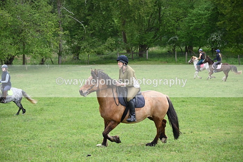 WJ6_3358 - A camera