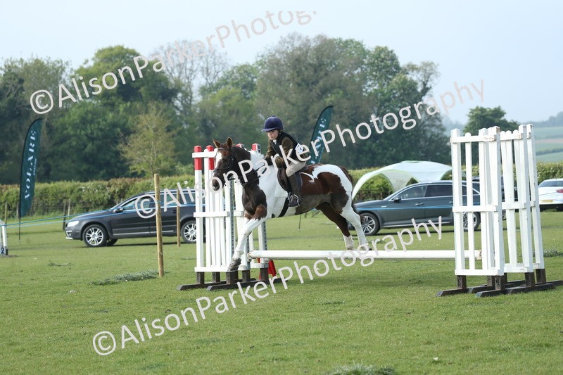 20260426-0073 - Class 13 - Rookie Jumping 50cm