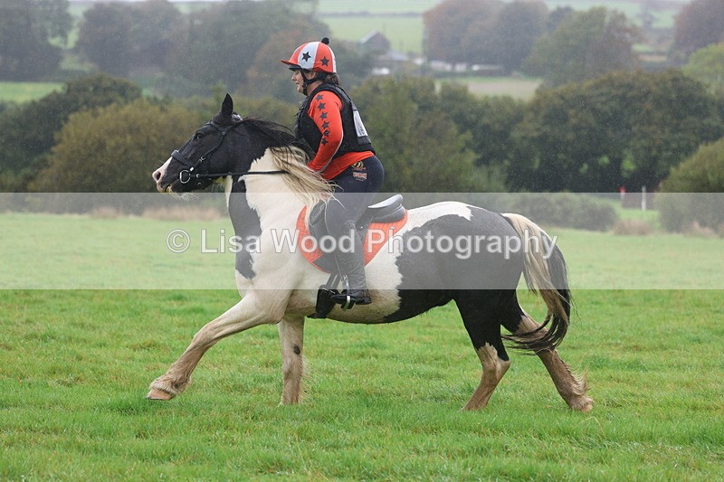 3E7A1015 - Class 1: 65cm: Rails