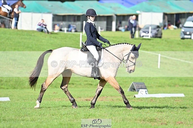 231020-141630-10861 - 664-TEMPLEMORE.WILD.ONE-Bella.Stevens-DR