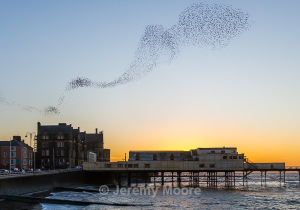 M298 - Snowdonia & Mid-Wales p/c catalogue