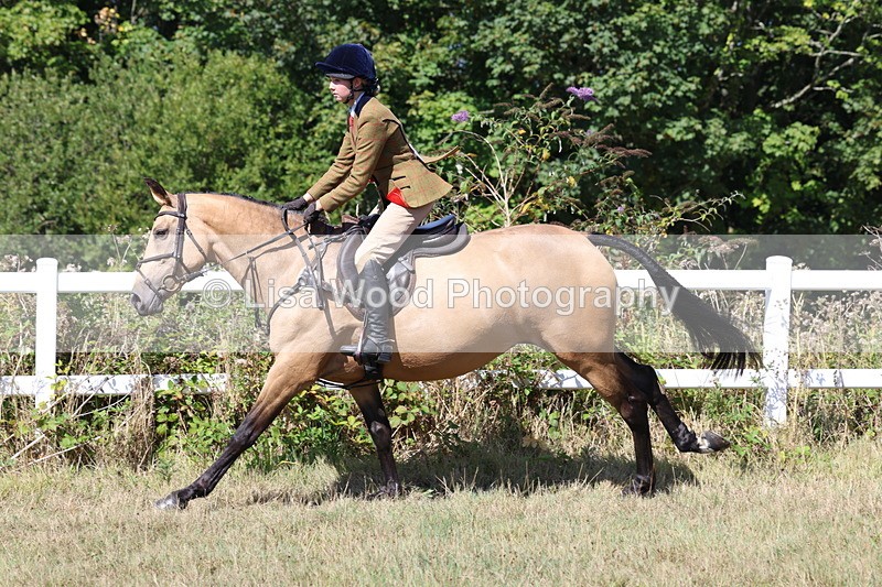 3E7A6425 - Working Hunter Championship