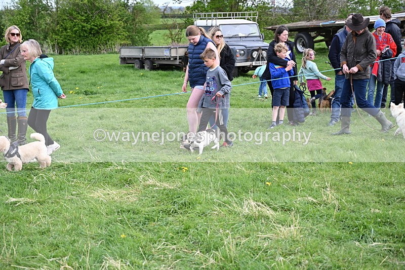 WJ6_8506 - Class 6 Best Rescue