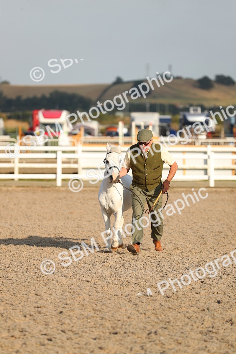 SBM_09020 - Class 29 IH Veteran Pony