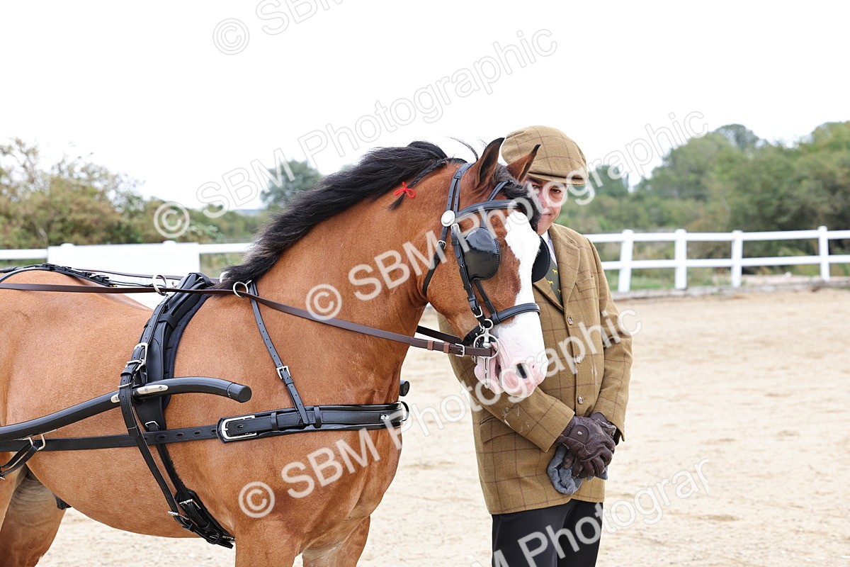 SBM_000311 - Class 2 - Exercise Vehicle 13.2hh & Under