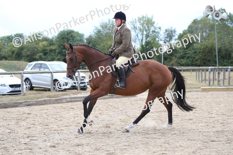 20260831-2619 - Class 15 - Ridden Retraining of Racehorses