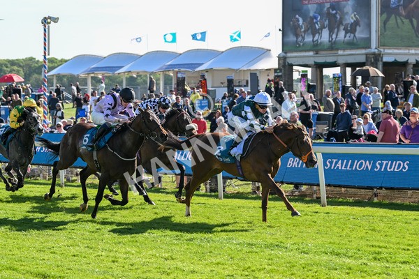 140525-Race 6-Ballistic Missile-2867 - Race 6 4.55pm British Stallion Studs EBF Novice Stakes