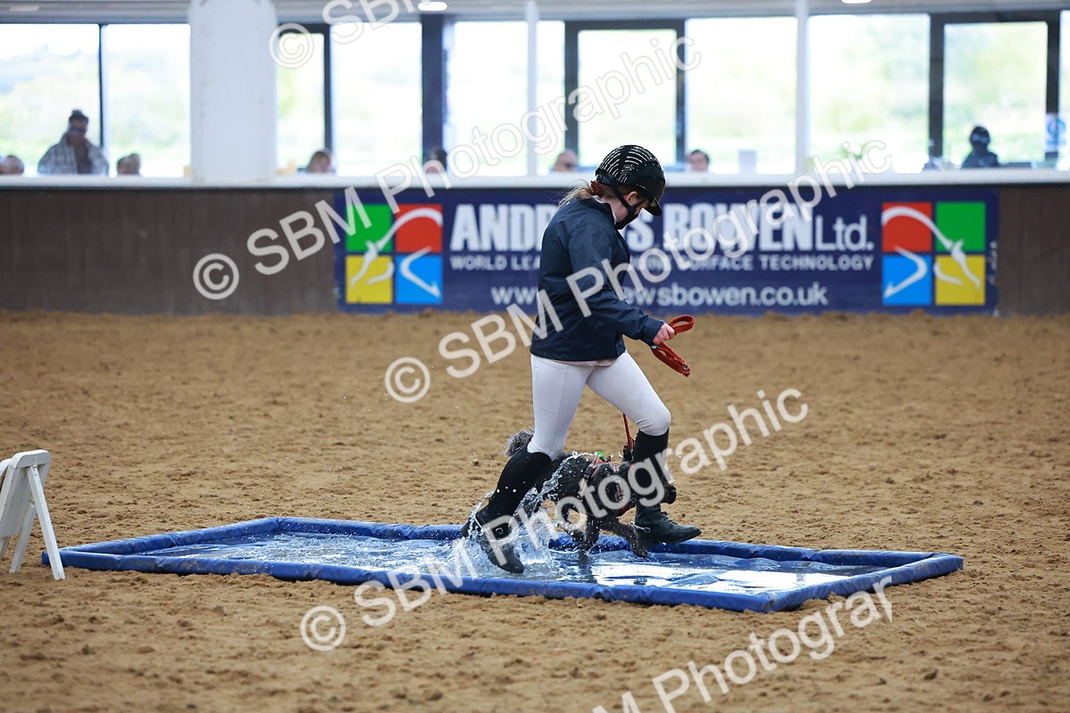 SBM_001643 - Class 3 - Horse & Hound (60cm)