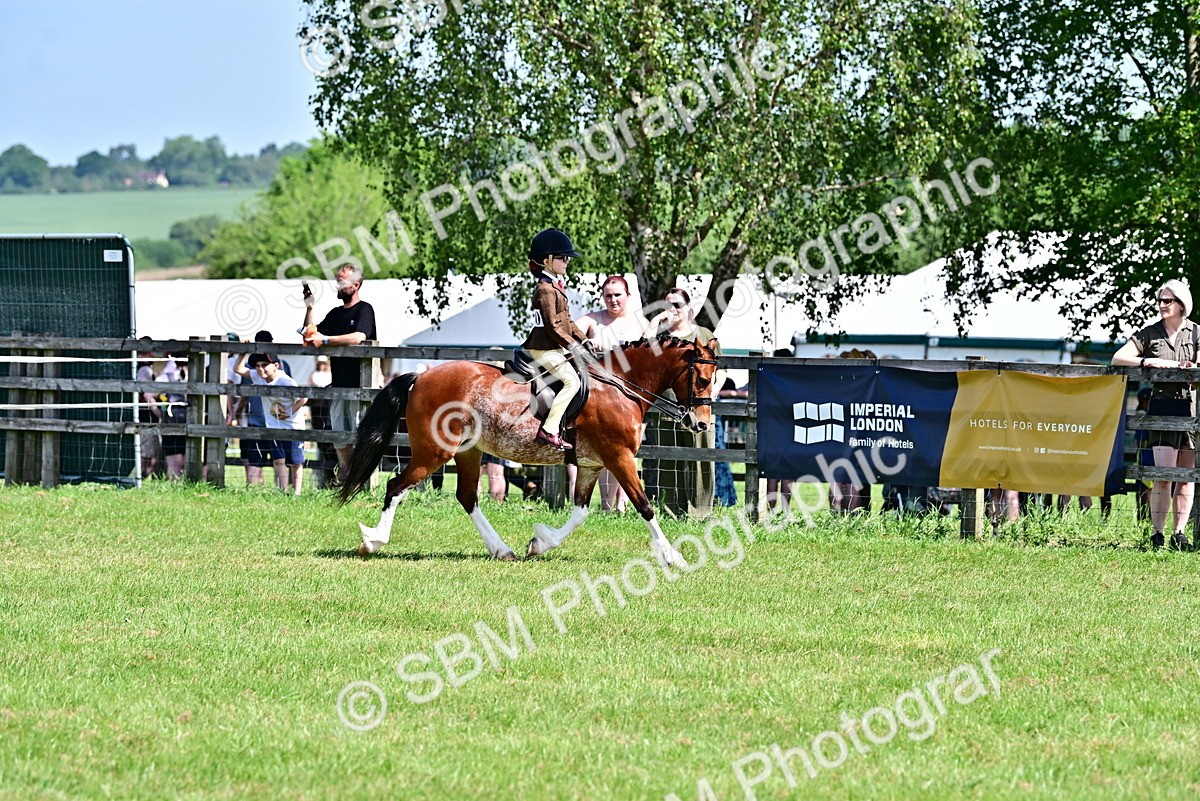 SBM_13875 - Class 95-97 - BSPS LHS Performance Ponies