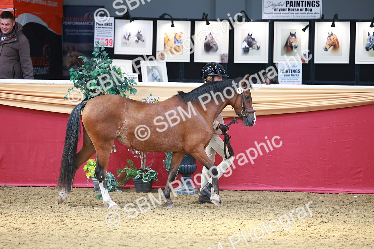 SBM_04175 - Class 9R - IH Pre-Vet