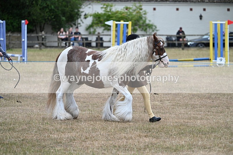 WJ7_8252 - Class 4 Prettiest Mare up to 14.2hh