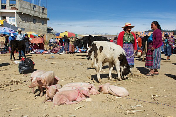  - Guatemala